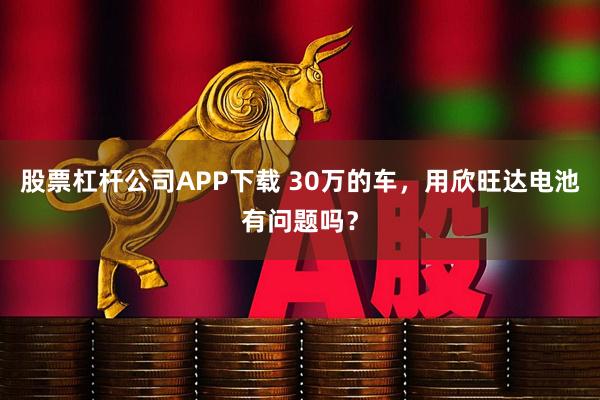 股票杠杆公司APP下载 30万的车,用欣旺达电池有问题吗?