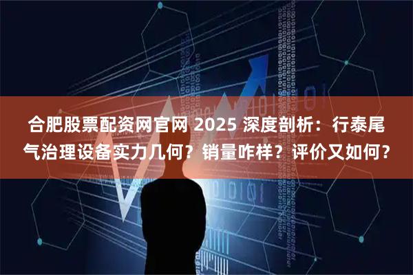 合肥股票配资网官网 2025 深度剖析:行泰尾气治理设备实力几何?销量咋样?评价又如何?