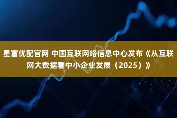 星富优配官网 中国互联网络信息中心发布《从互联网大数据看中小企业发展（2025）》